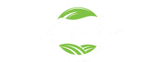 arif trade and export