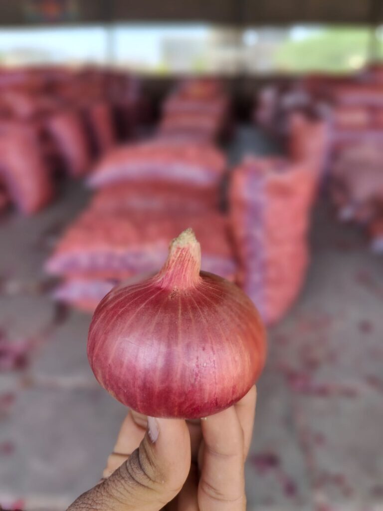 how to make birista fried onion