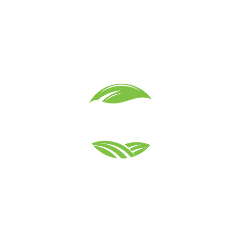 arif trade and export